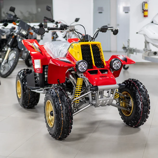 Caguas Motor Sports - Banshee